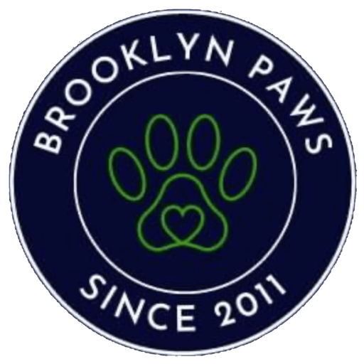 https://brooklynpaws.com/wp-content/uploads/2021/10/cropped-IMG_2226-1-1.png